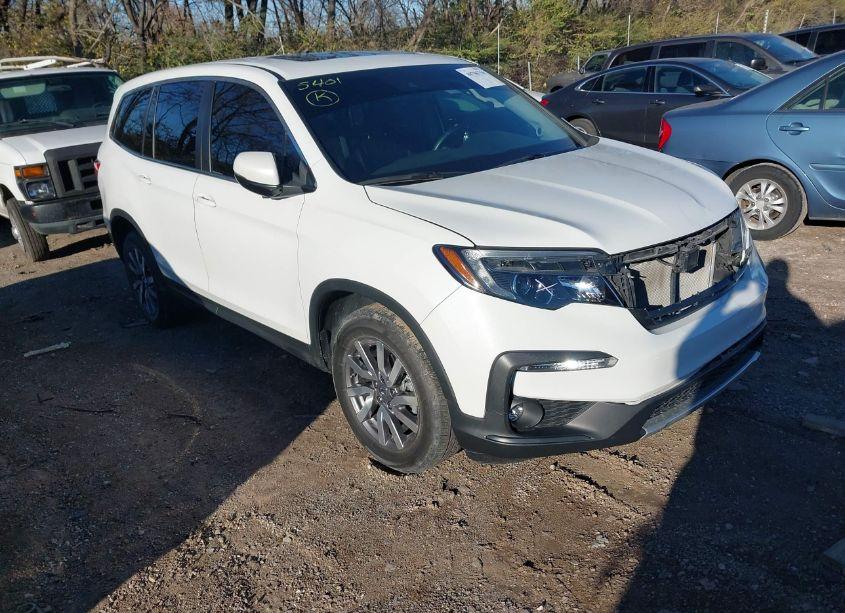 2021 Honda Pilot AWD EX-L (VIN 5FNYF6H59MB016662) main photo