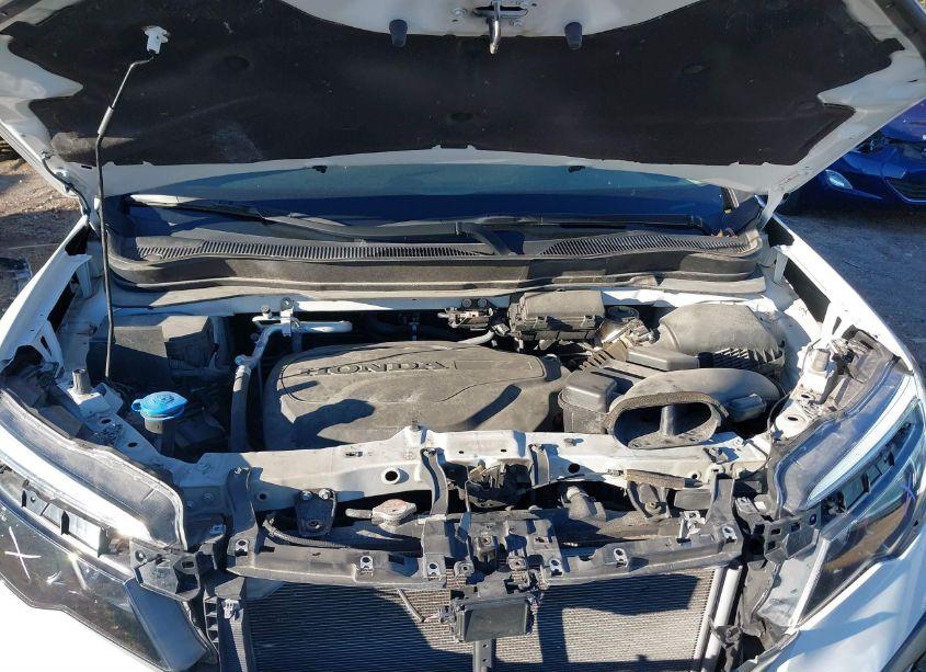 Photo 10 of 2021 Honda Pilot AWD EX-L (VIN 5FNYF6H59MB016662)