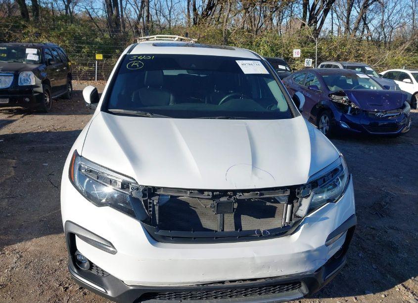 Photo 12 of 2021 Honda Pilot AWD EX-L (VIN 5FNYF6H59MB016662)