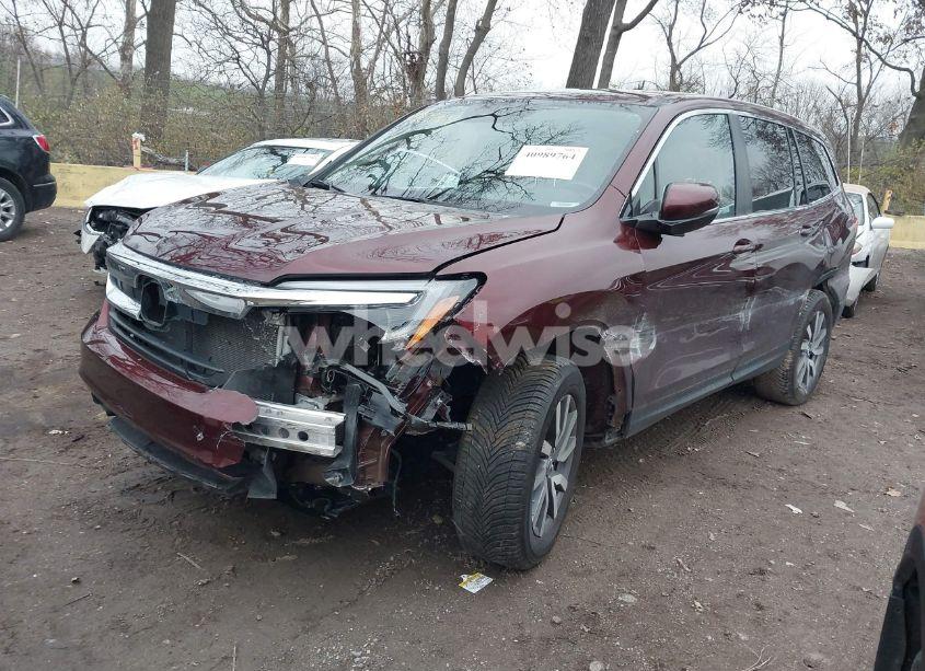 Photo 2 of 2021 Honda Pilot AWD EX-L (VIN 5FNYF6H59MB042338)