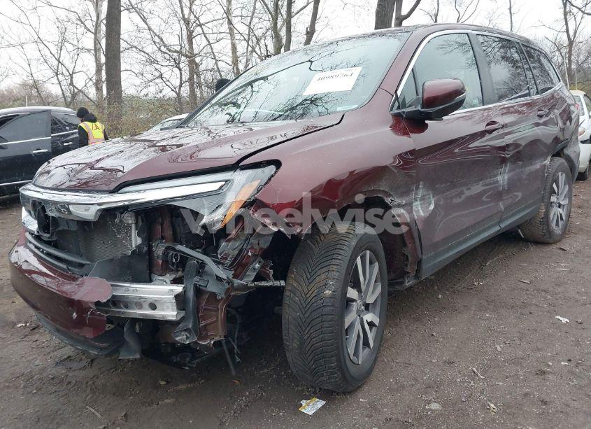 Photo 6 of 2021 Honda Pilot AWD EX-L (VIN 5FNYF6H59MB042338)