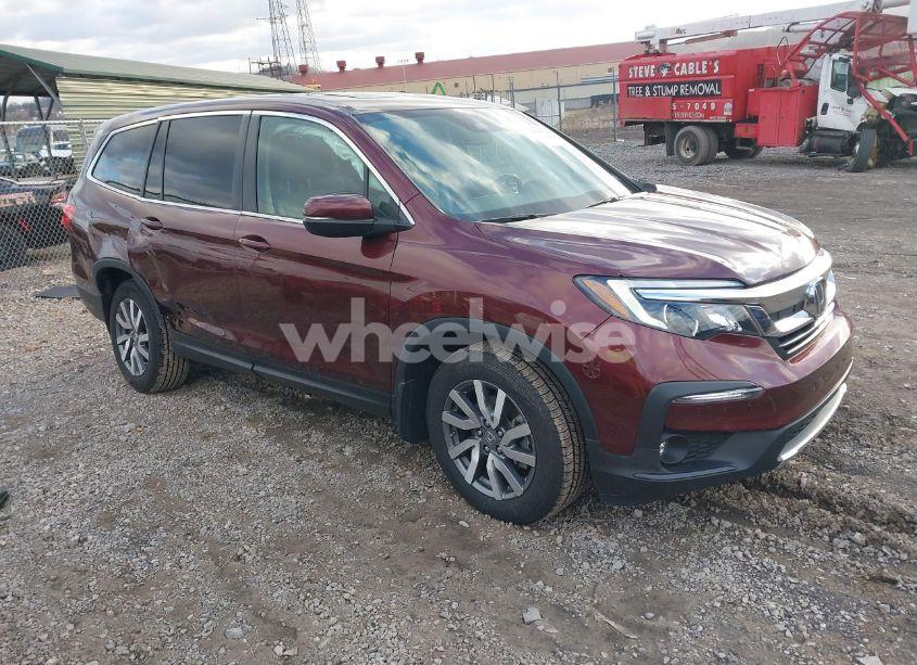 2021 Honda Pilot AWD EX-L (VIN 5FNYF6H5XMB055146) main photo