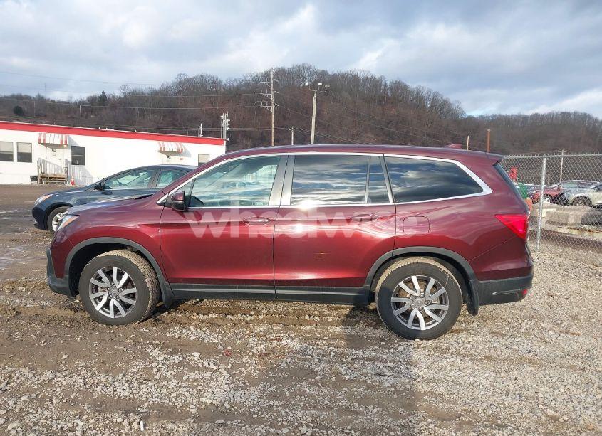Photo 14 of 2021 Honda Pilot AWD EX-L (VIN 5FNYF6H5XMB055146)