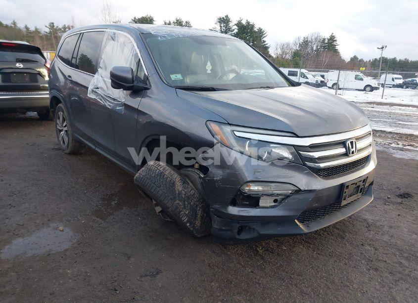 2017 Honda Pilot EX-L (VIN 5FNYF6H73HB071373) main photo