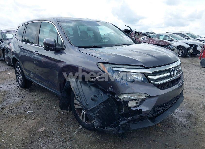 2017 Honda Pilot EX-L (VIN 5FNYF6H77HB007143) main photo