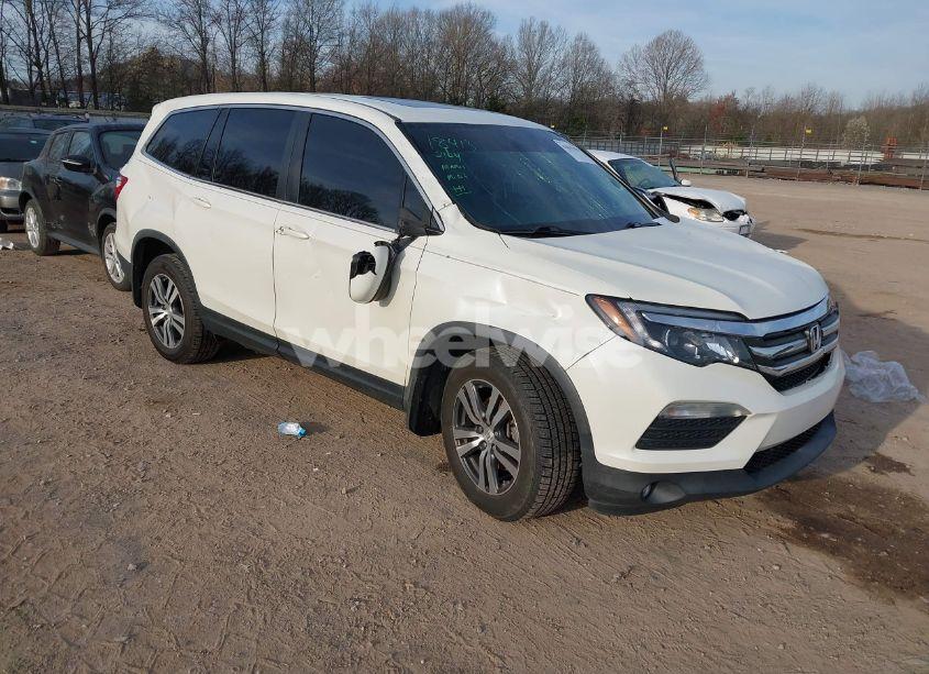 2017 Honda Pilot EX-L (VIN 5FNYF6H77HB089326) main photo