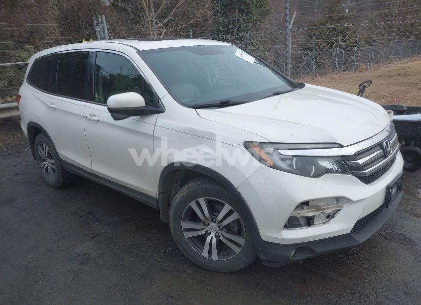2018 Honda Pilot EX-L (VIN 5FNYF6H79JB029229) main photo