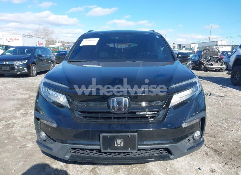 Photo 11 of 2021 Honda Pilot AWD BLACK EDITION (VIN 5FNYF6H7XMB031978)