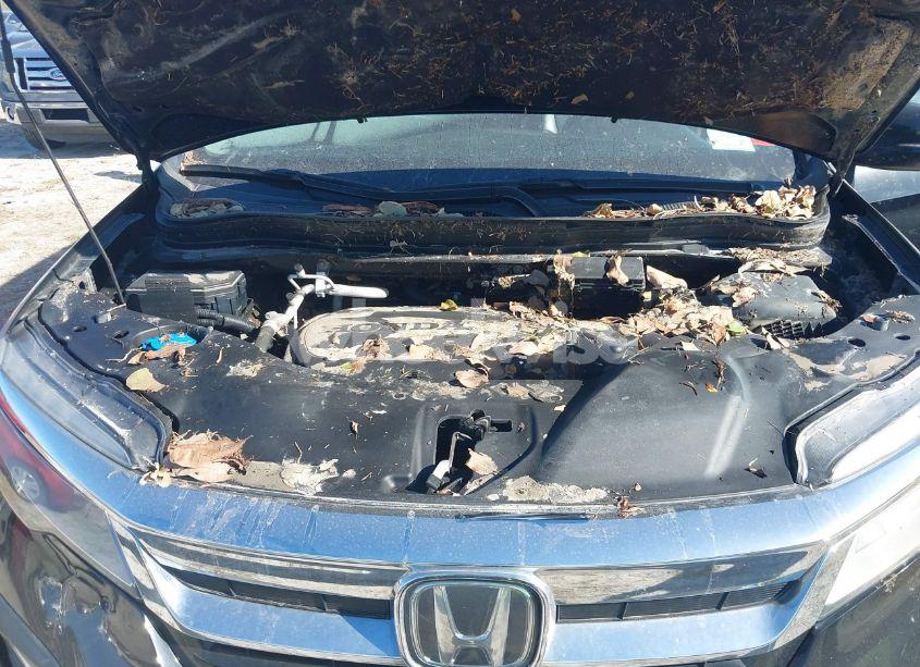 Photo 10 of 2019 Honda Pilot TOURING (VIN 5FNYF6H9XKB013169)