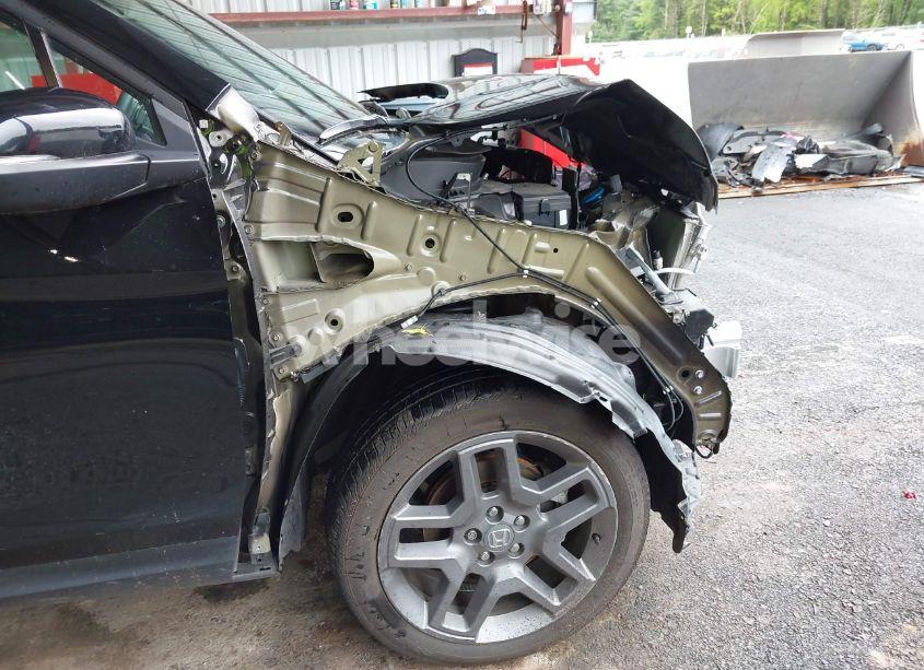 Photo 18 of 2023 Honda Passport AWD EX-L (VIN 5FNYF8H5XPB021370)