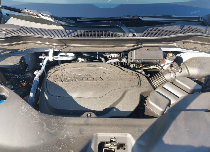 Photo 10 of 2024 Honda Passport AWD EX-L (VIN 5FNYF8H5XRB017757)