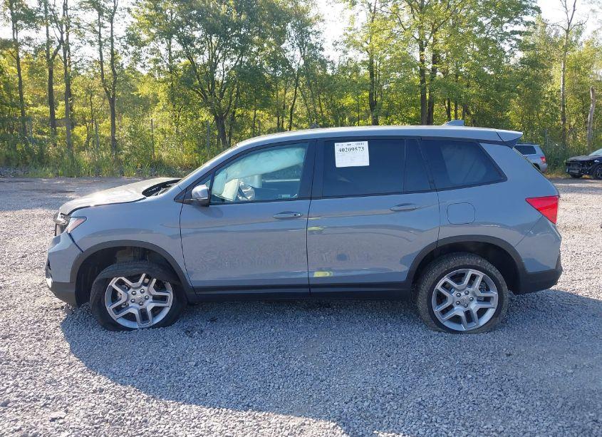 Photo 14 of 2024 Honda Passport AWD EX-L (VIN 5FNYF8H5XRB017757)