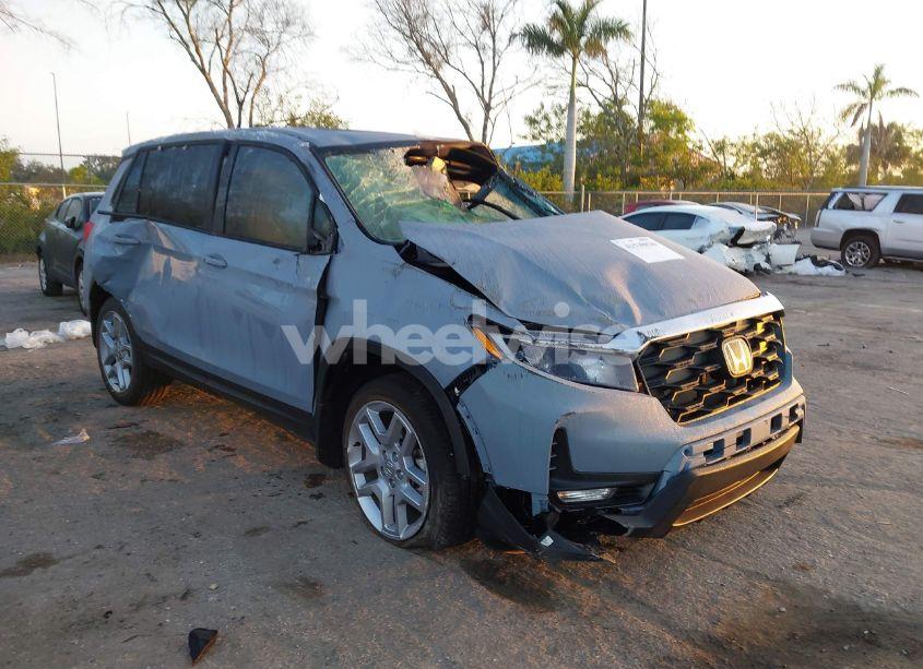 2024 Honda Passport AWD EX-L (VIN 5FNYF8H5XRB017807) main photo