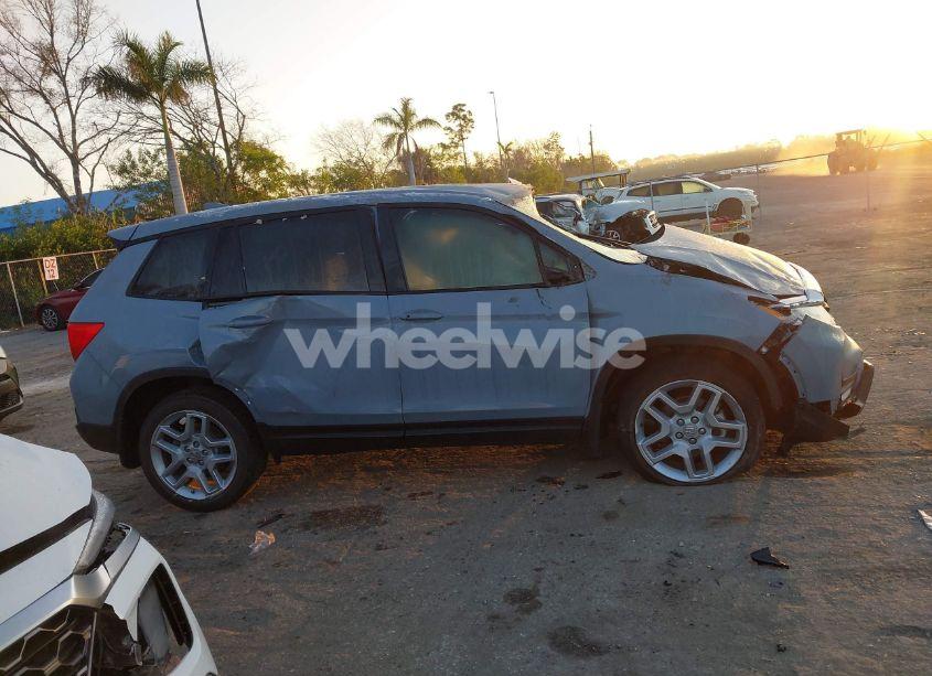 Photo 14 of 2024 Honda Passport AWD EX-L (VIN 5FNYF8H5XRB017807)