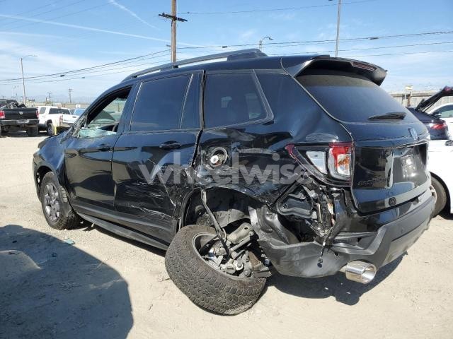 Photo 9 of 2024 HONDA PASSPORT TRAIL SPORT (VIN 5FNYF8H67RB010869)