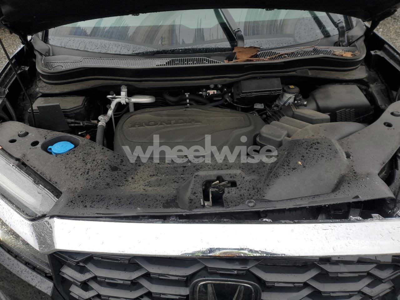 Photo 12 of 2024 HONDA PASSPORT EXL (VIN 5FNYF8H69RB012140)