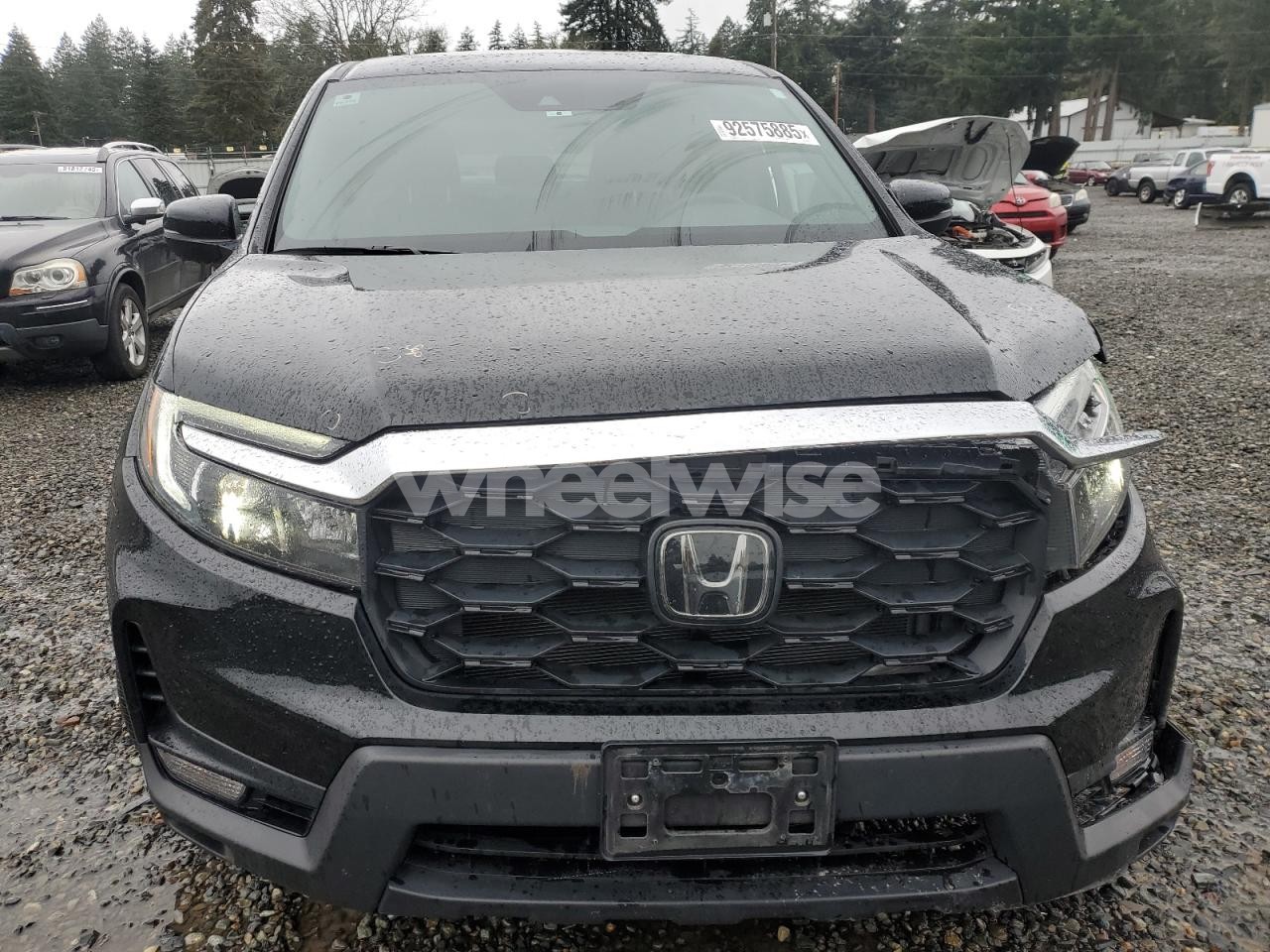 Photo 5 of 2024 HONDA PASSPORT EXL (VIN 5FNYF8H69RB012140)