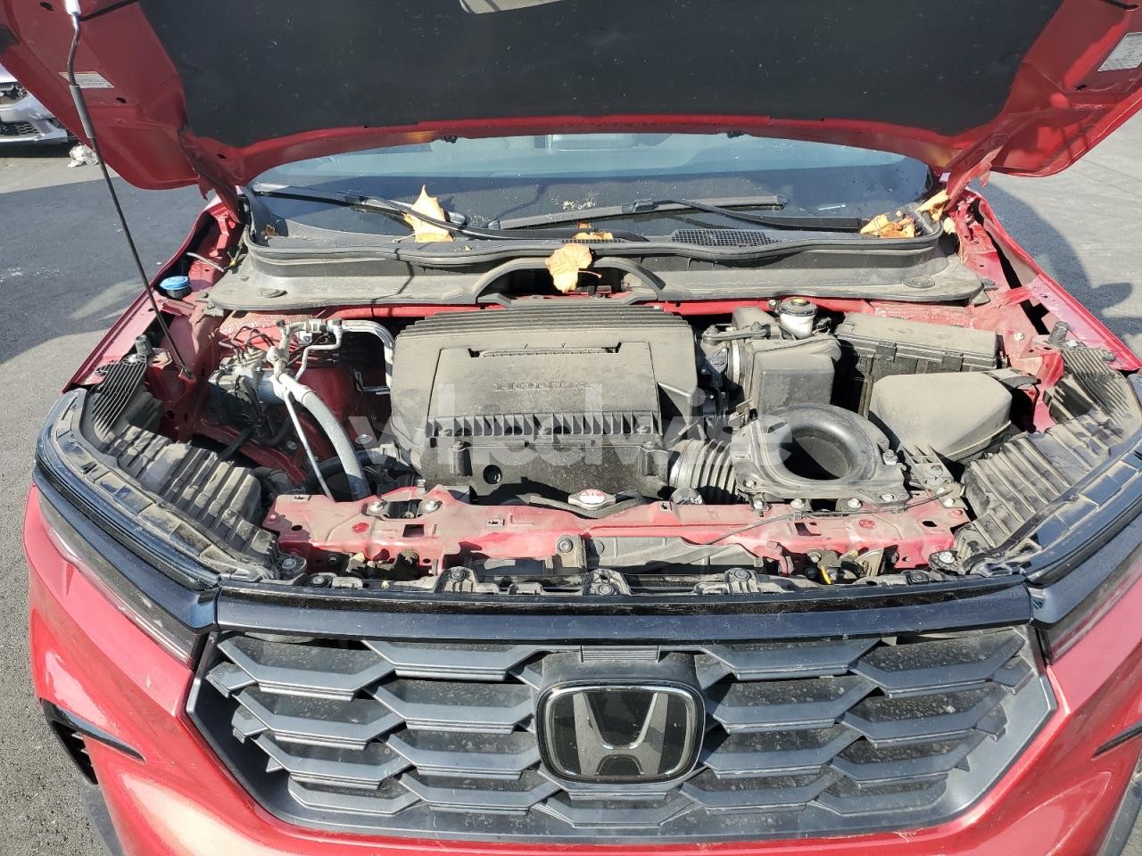 Photo 12 of 2023 HONDA PILOT SPORT (VIN 5FNYG1H38PB057903)