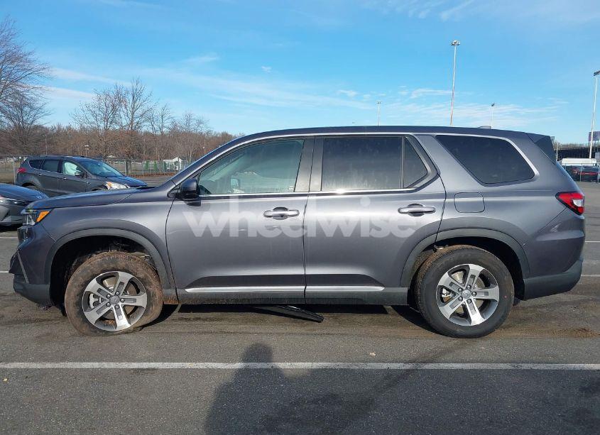 Photo 14 of 2025 Honda Pilot EX-L (VIN 5FNYG1H41SB062653)