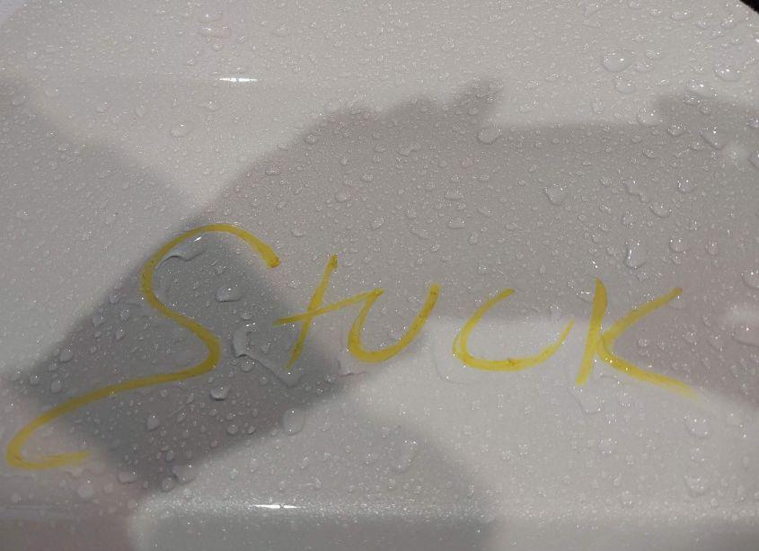 Photo 10 of 2025 Honda Pilot ELITE (VIN 5FNYG1H89SB058756)