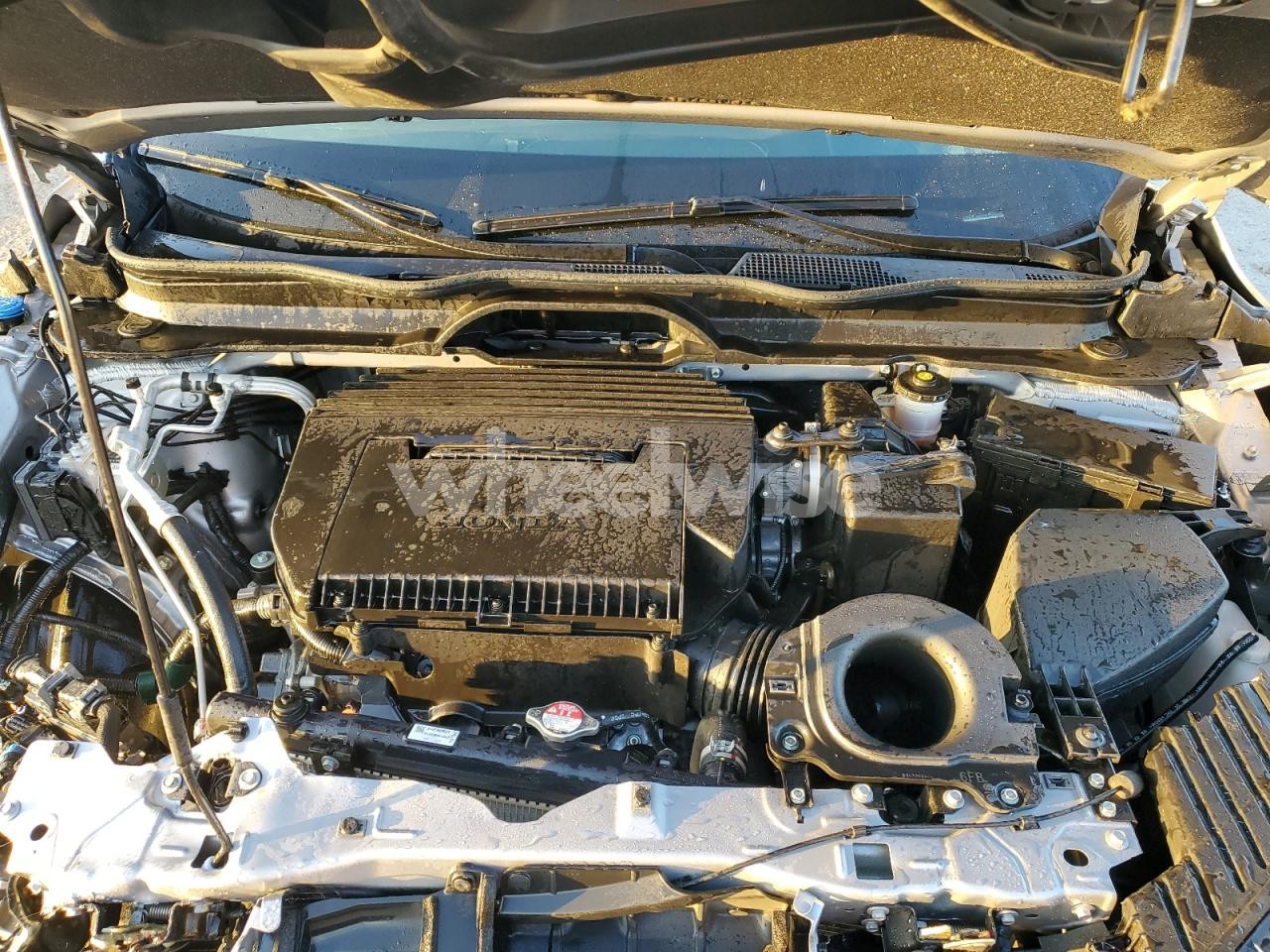 Photo 12 of 2025 HONDA PILOT ELITE (VIN 5FNYG1H8XSB047281)