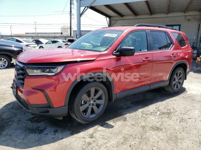 2024 HONDA PILOT SPORT (VIN 5FNYG2H38RB009889) main photo