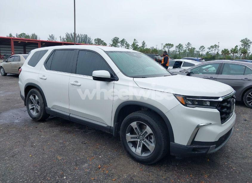 2025 Honda Pilot EX-L (VIN 5FNYG2H45SB005894) main photo