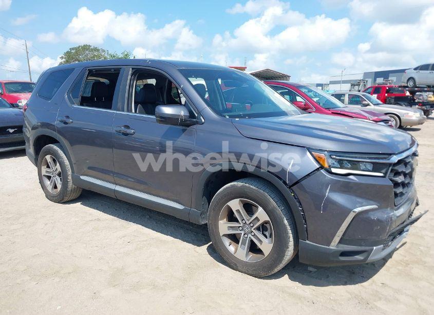 2024 Honda Pilot EX-L 7 PASSENGER (VIN 5FNYG2H5XRB001827) main photo