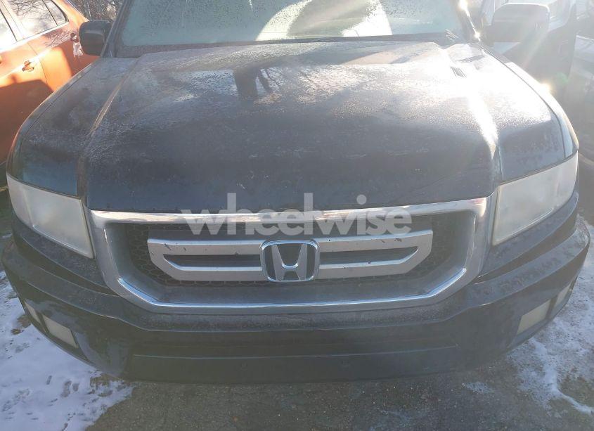 Photo 6 of 2011 Honda Ridgeline RTL (VIN 5FPYK1F51BB009257)