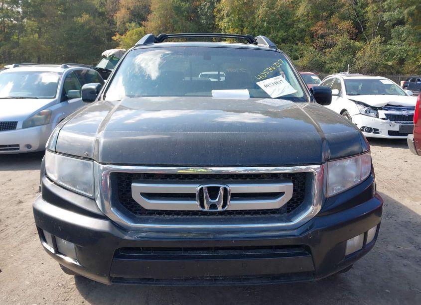 Photo 12 of 2010 Honda Ridgeline RTL (VIN 5FPYK1F59AB503879)