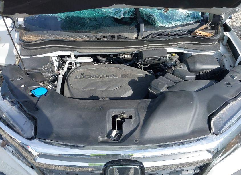 Photo 10 of 2020 Honda Ridgeline AWD SPORT (VIN 5FPYK3F11LB020351)