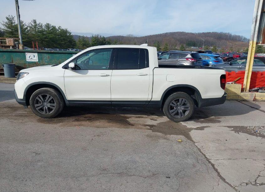 Photo 14 of 2019 Honda Ridgeline SPORT (VIN 5FPYK3F12KB006666)