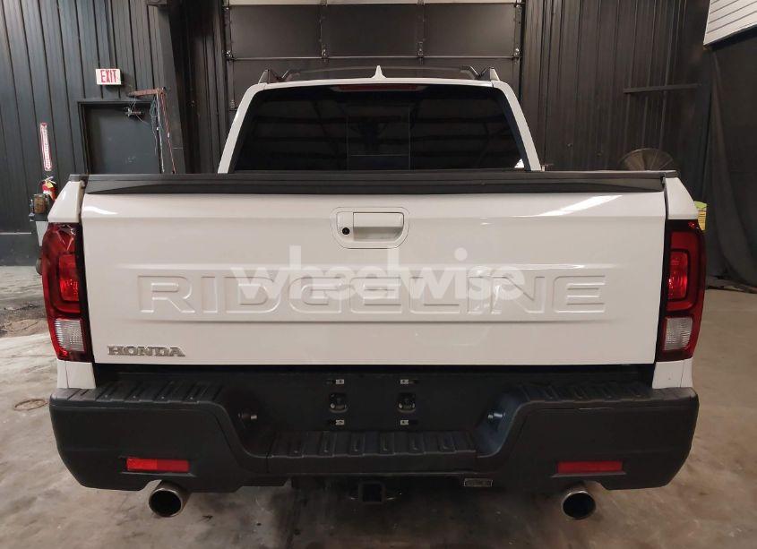 Photo 17 of 2025 Honda Ridgeline RTL (VIN 5FPYK3F51SB009755)