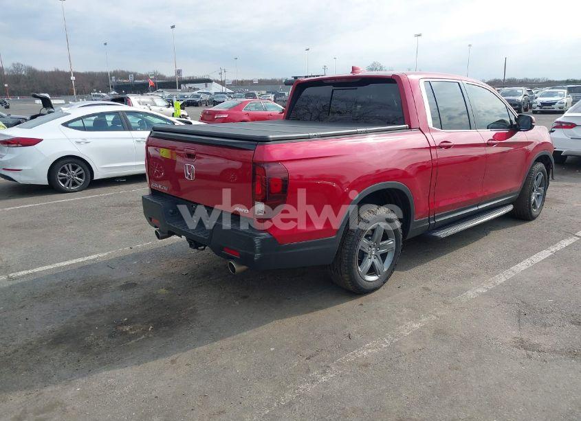 Photo 4 of 2021 Honda Ridgeline AWD RTL (VIN 5FPYK3F54MB014502)