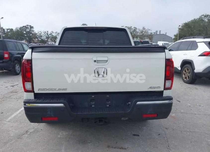 Photo 16 of 2019 Honda Ridgeline RTL-E (VIN 5FPYK3F71KB021695)