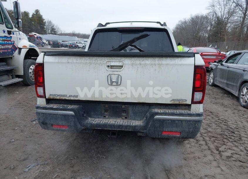 Photo 16 of 2019 Honda Ridgeline RTL-E (VIN 5FPYK3F77KB007879)