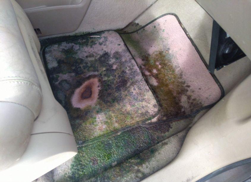 Photo 14 of 2008 Buick Enclave CXL (VIN 5GAEV23768J160774)