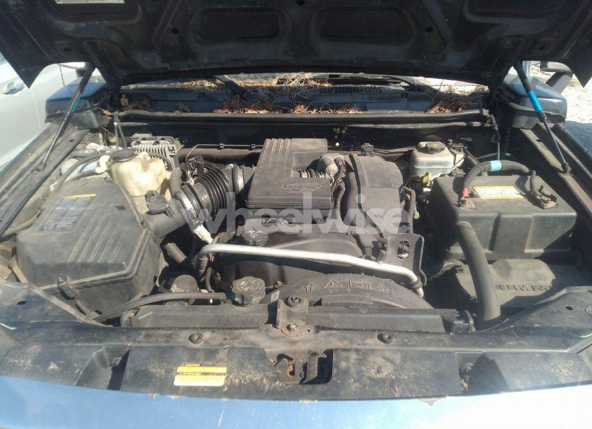 Photo 10 of 2006 Hummer H3 SUV (VIN 5GTDN136568183598)