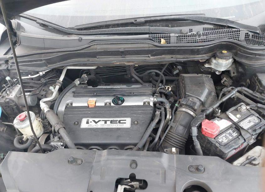 Photo 10 of 2009 Honda Cr-v LX (VIN 5J6RE38329L011709)