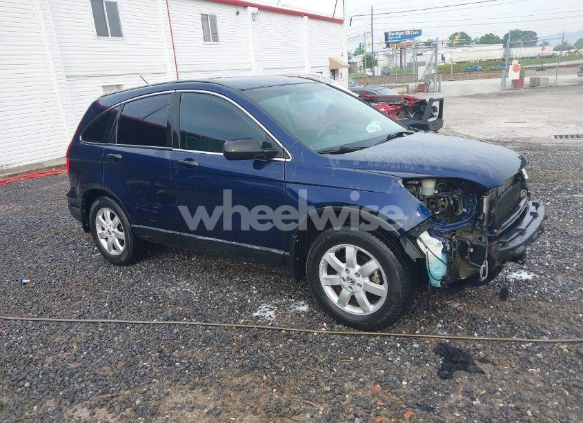 2009 Honda Cr-v LX (VIN 5J6RE383X9L005995) main photo