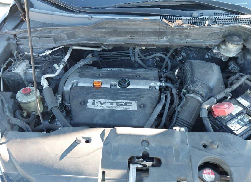 Photo 10 of 2009 Honda Cr-v LX (VIN 5J6RE383X9L032906)