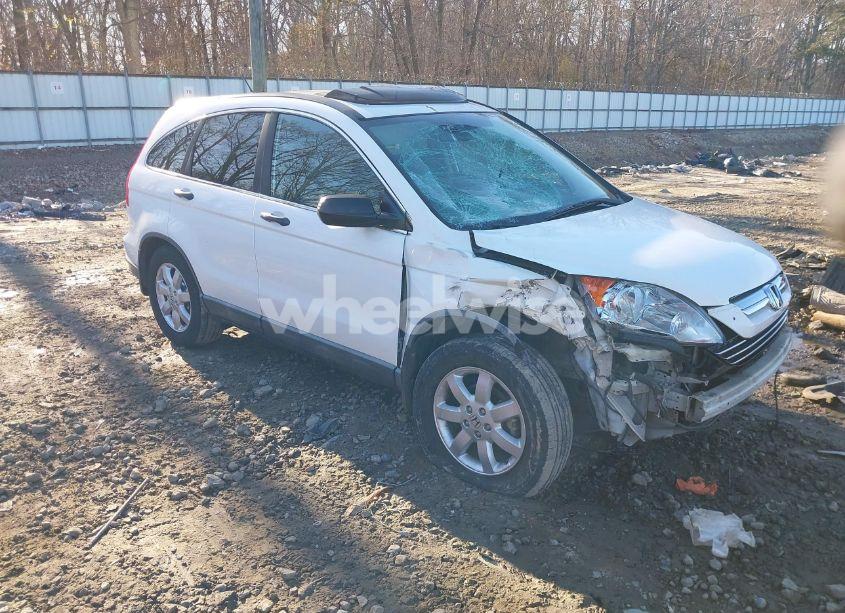 2008 Honda Cr-v EX (VIN 5J6RE38508L005245) main photo