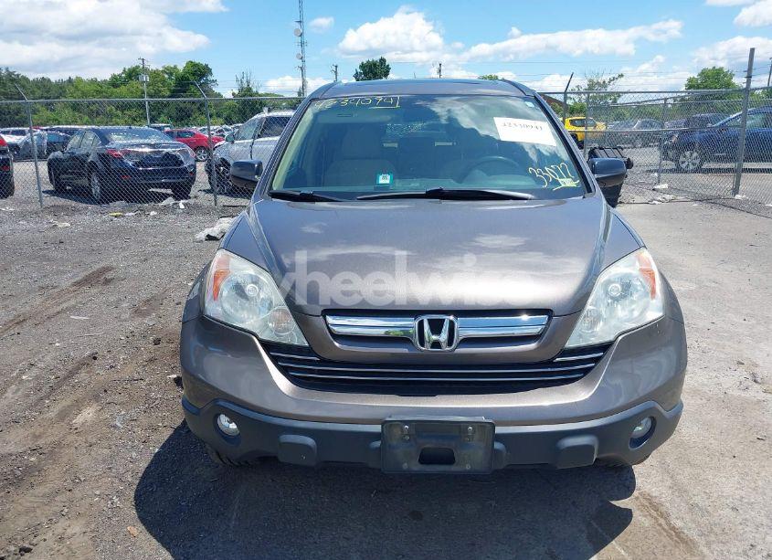Photo 6 of 2009 Honda Cr-v EX (VIN 5J6RE38519L033072)