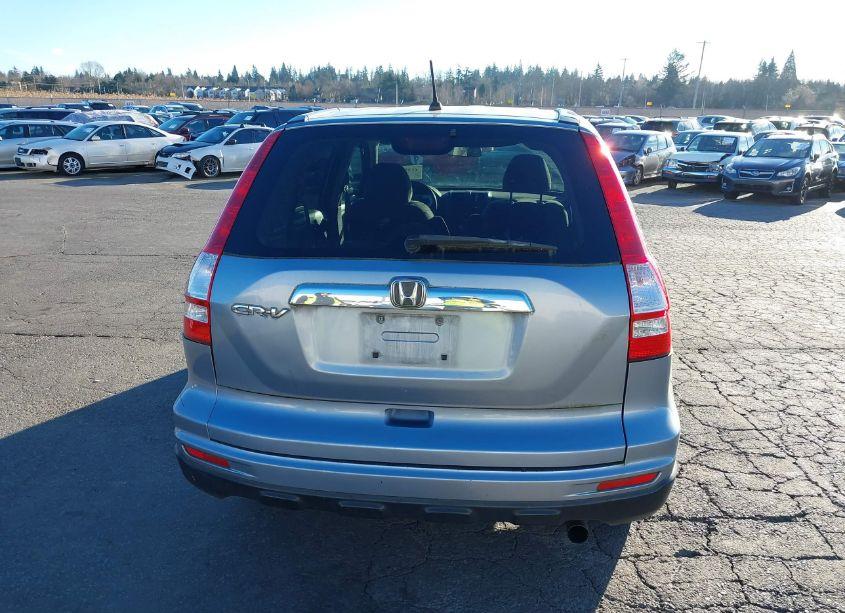 Photo 16 of 2010 Honda Cr-v (VIN 5J6RE3851AL006202)