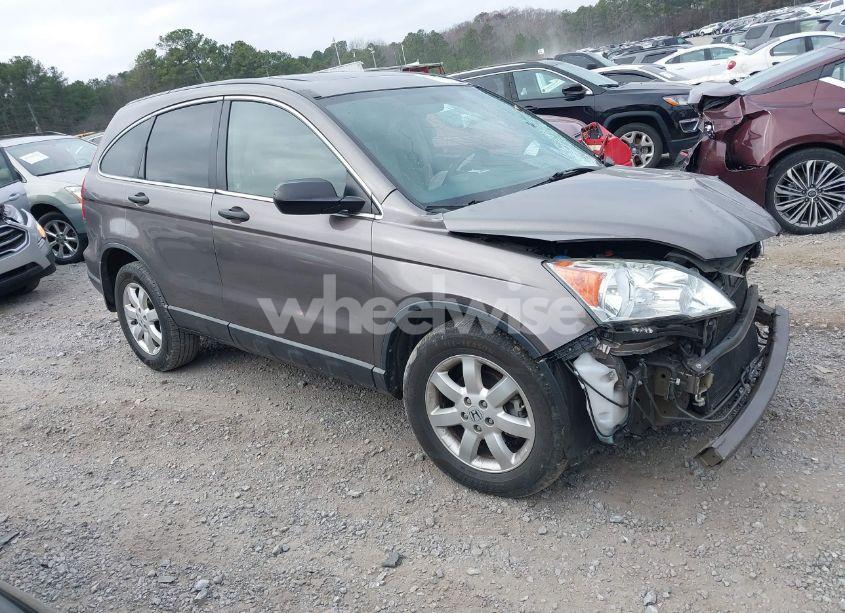 2009 Honda Cr-v EX (VIN 5J6RE38549L008117) main photo