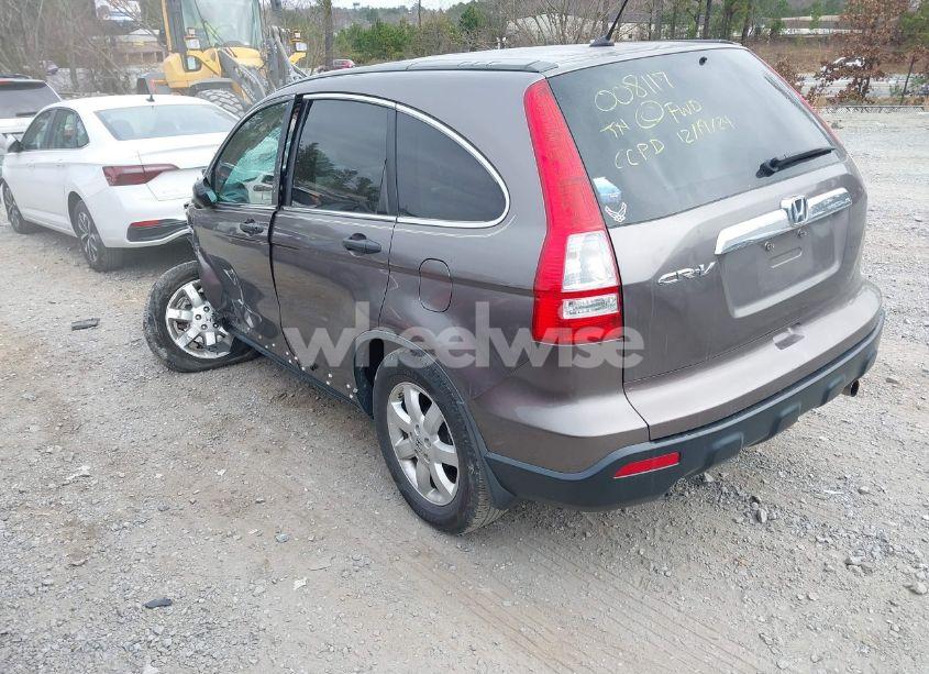 Photo 3 of 2009 Honda Cr-v EX (VIN 5J6RE38549L008117)