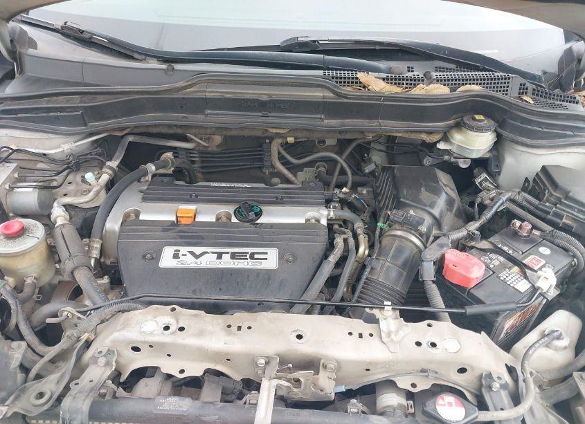 Photo 10 of 2009 Honda Cr-v EX (VIN 5J6RE38589L030542)