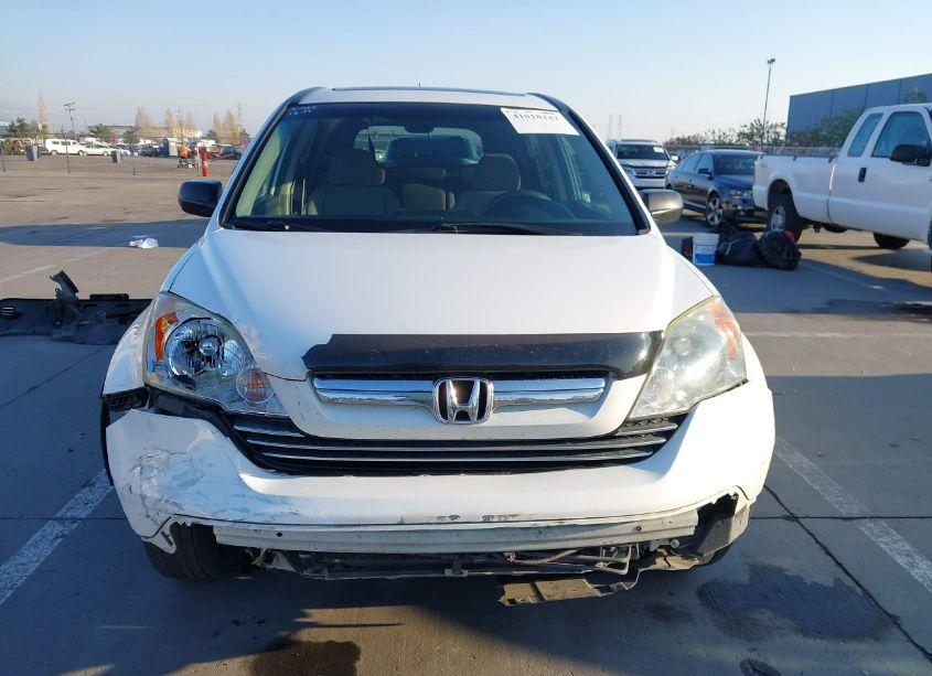Photo 13 of 2009 Honda Cr-v EX (VIN 5J6RE38599L013555)