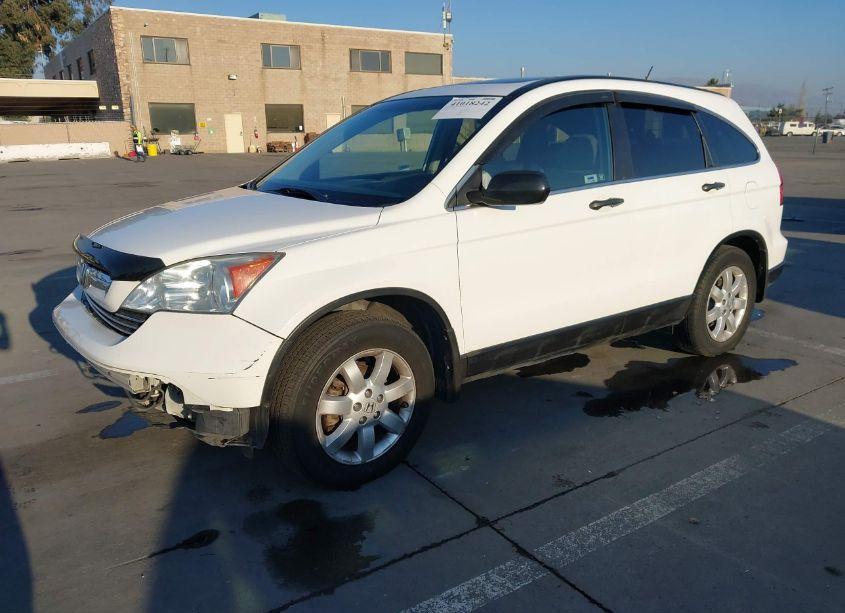 Photo 2 of 2009 Honda Cr-v EX (VIN 5J6RE38599L013555)