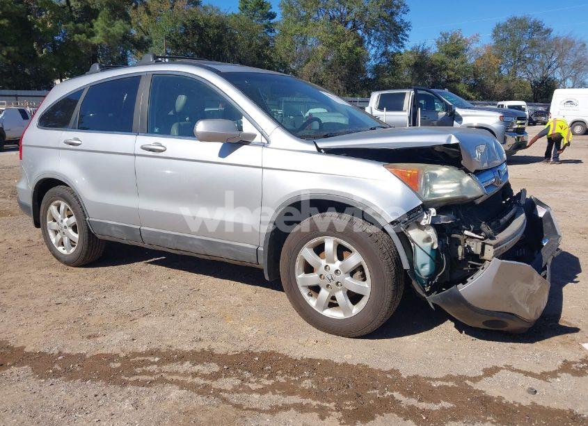 2009 Honda Cr-v EX-L (VIN 5J6RE38709L008584) main photo